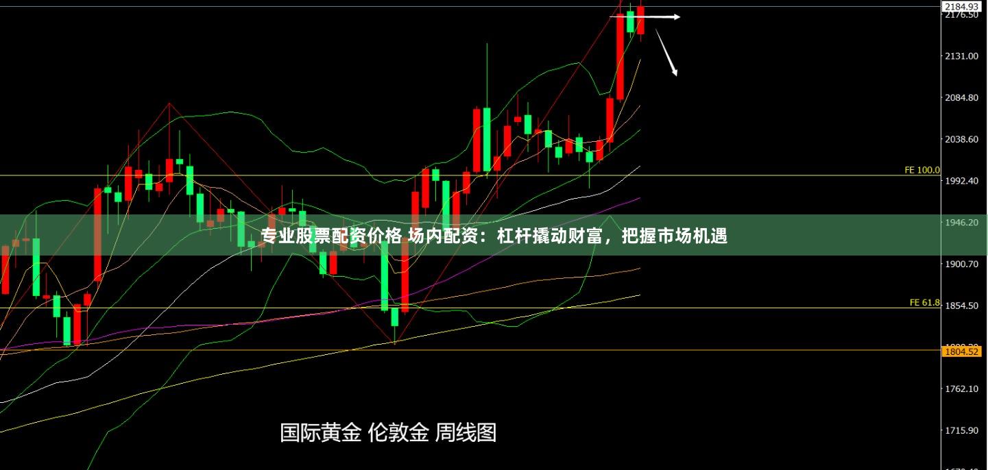 专业股票配资价格 场内配资：杠杆撬动财富，把握市场机遇